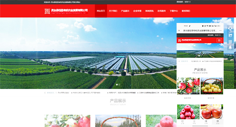 企業(yè)網(wǎng)站、程序軟件App解決方案